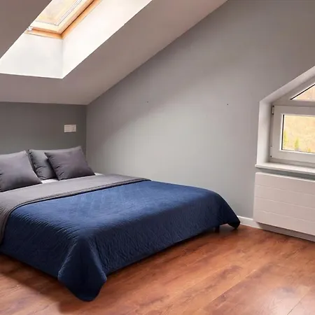 Brenskie Tarasy Holiday home *